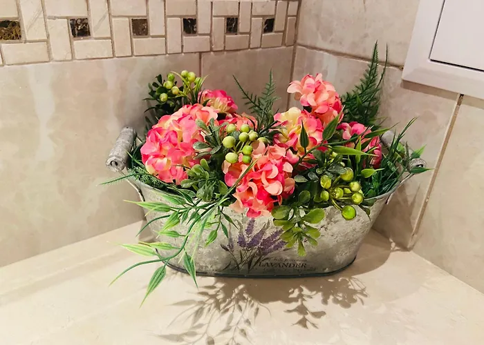 Appartement 1bd Ap In La Complex Private And Pool